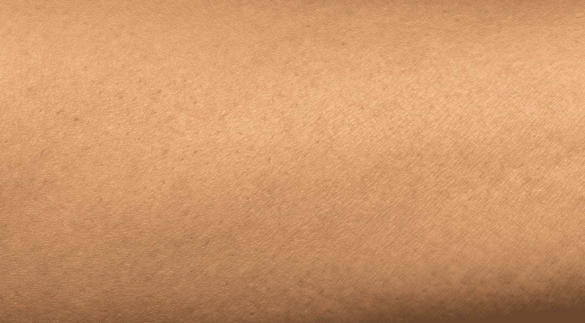 Sem. 8