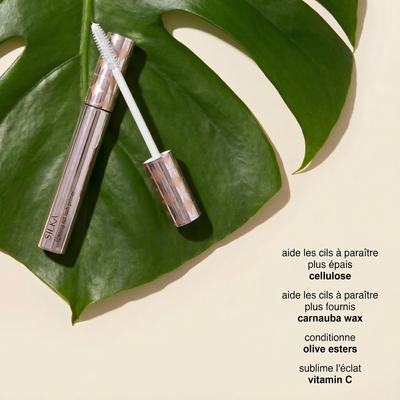 Primer pour les cils