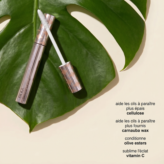 Primer pour les cils