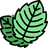 Extrait de menthe poivrée