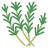 Huile de Cyperus Rotundus pure